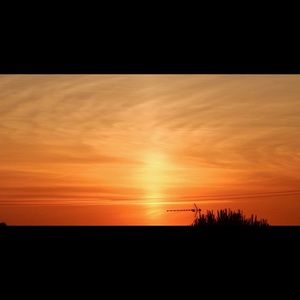 Meet your Posher, Bianca